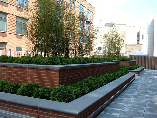 Rented by NY Casa Group | media 32