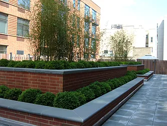 Rented by NY Casa Group