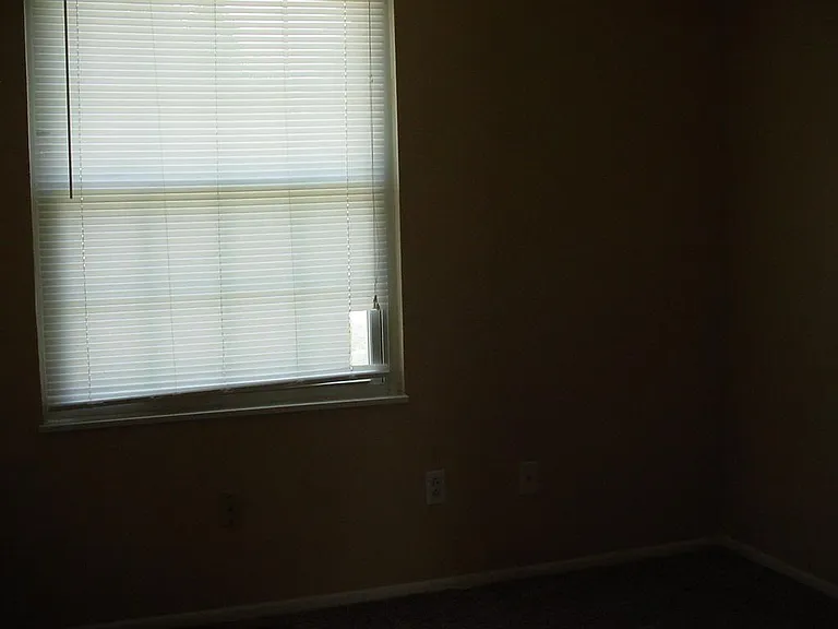 4514 Lunenburg Dr — Photo 13