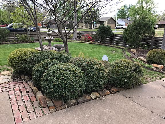 Mature scrubs & trees