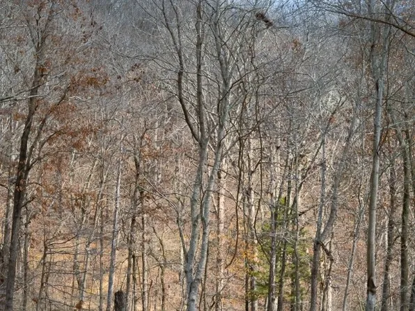 LOT 4 S Old Dutch, Rogers, AR 72756