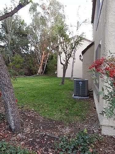 yard area: no longher has grass: has some mulch. sample photo