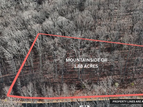 45 Mountainside Ct, Cleveland, GA 30528