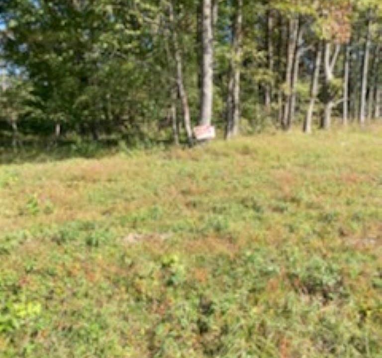 1st image of 5936 County Road 745 #745