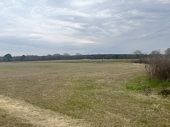 5th image of 1066 Fm 3198 W