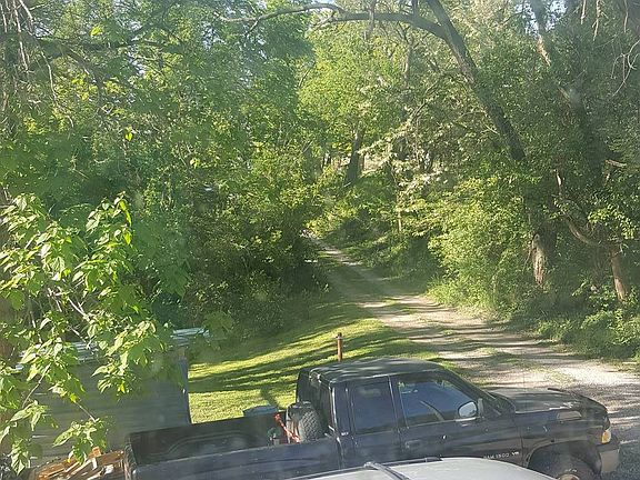 Back yard view from Kitchen