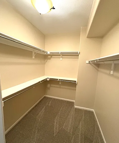 Primary Closet