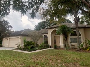 15236 Princewood Ln, Land O Lakes, FL 34638