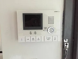 Rented by P Management