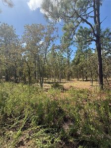 NW Ridgewood Rd Lot 12, Dunnellon, FL, 34431
