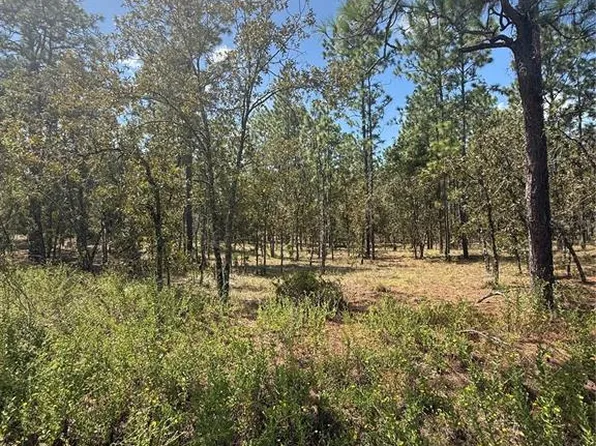 NW Ridgewood Rd Lot 12, Dunnellon, FL 34431