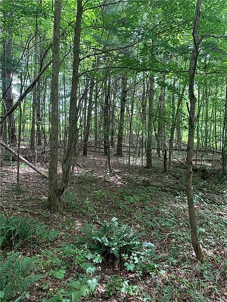 2nd image of 0 Gravatt Rd