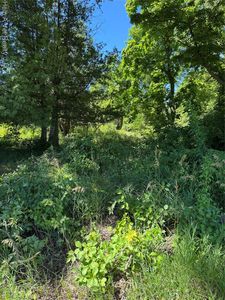 4991 Mayville Rd, Silverwood, MI, 48760