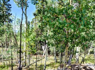 266 Timberline Drive, Guffey, CO 80820