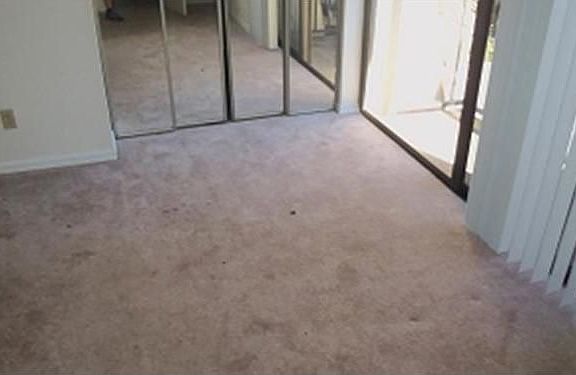 2nd image of 2924 Tangerine Ct