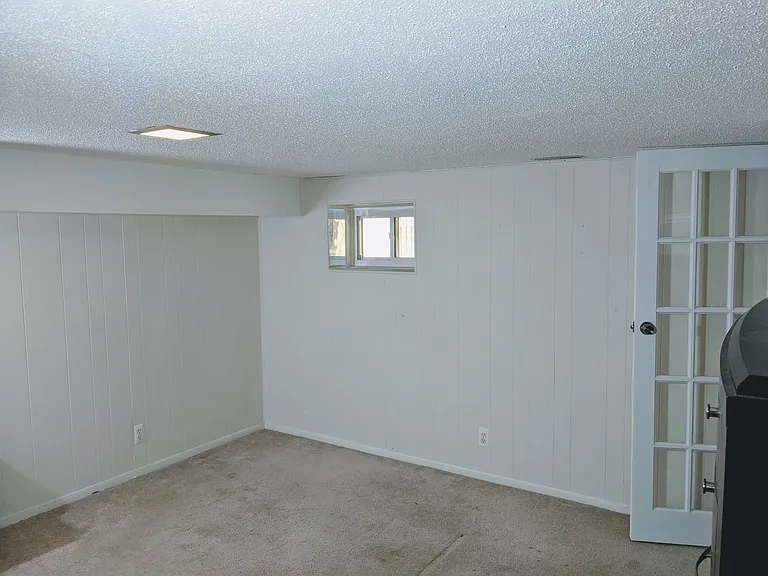 Basement Den