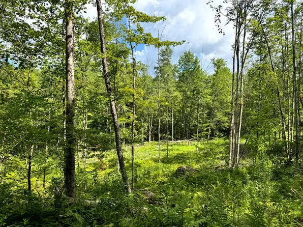 1.5 Tannery Rd #5, Westernville, NY 13486