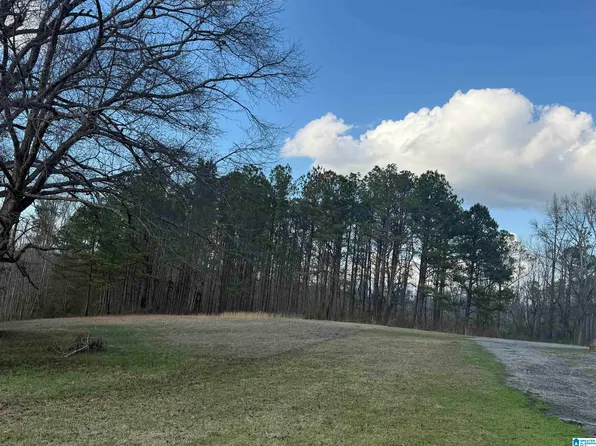 0 County Road 448 #0, Clanton, AL 35046