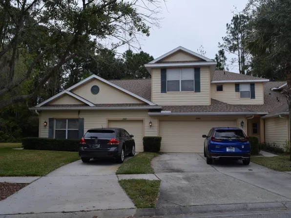 20415 Harvest Oak Ct, Tampa, FL 33647