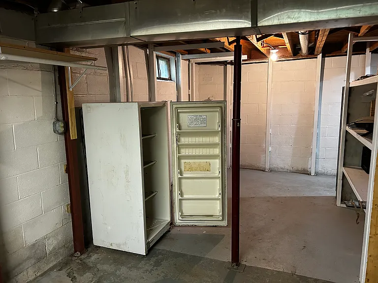 Basement with extra freezer