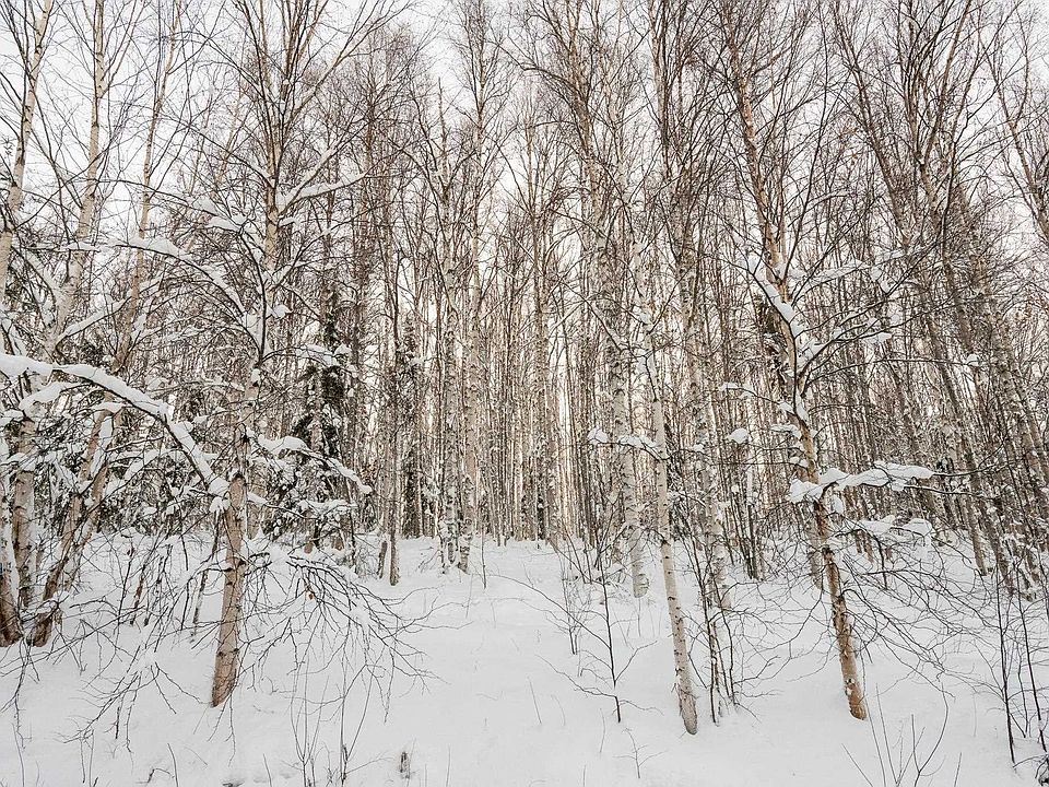 1st image of Nhn Chena Ridge Rd