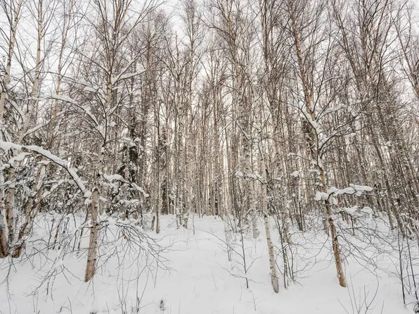 Nhn Chena Ridge Rd, Fairbanks, AK 99709