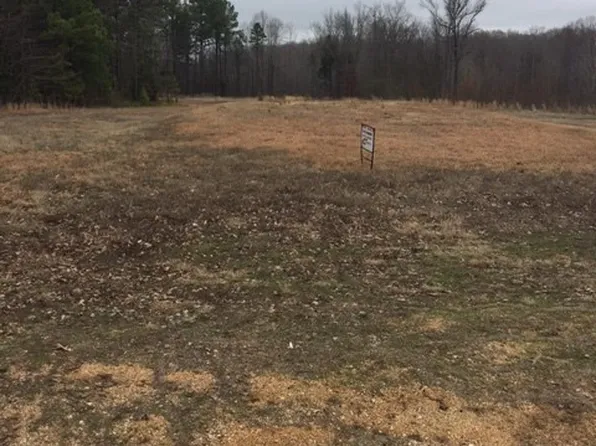 LOT 1 Cherry Creek Cv, Henderson, TN 38340