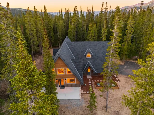 297 Robertson Ln, Breckenridge, CO 80424