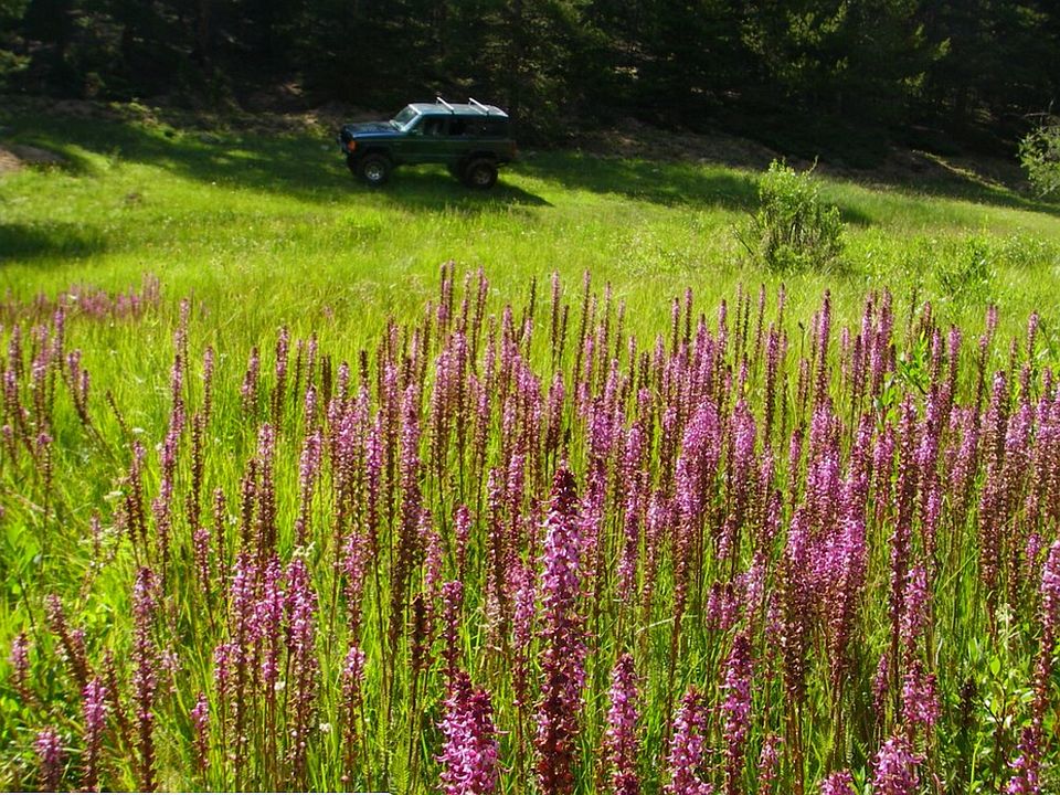 1st image of 4.21 Acres Near Leadville For Sale
