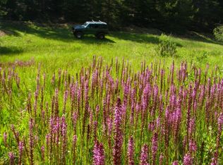 4.21 Acres Near Leadville For Sale, Leadville, CO 80463