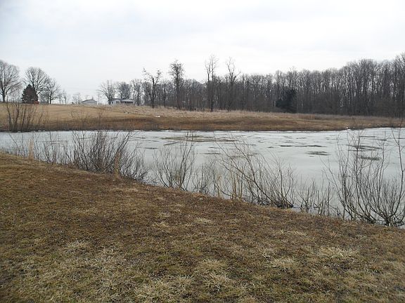 Side view of the pond
