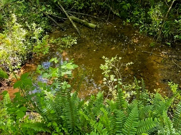 349 Lower Dowda Mill Rd, Jasper, GA 30143