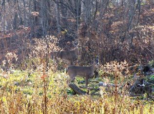 Black Oak Rd, Rock, WV 24747