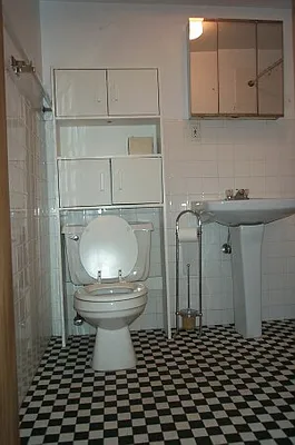 Rented by Tower Brokerage | media 44