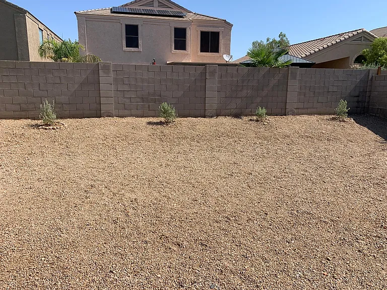 Low Maintenance Back yard