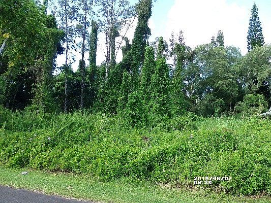2nd image of 16-2087 Hapuu Dr Lot 33