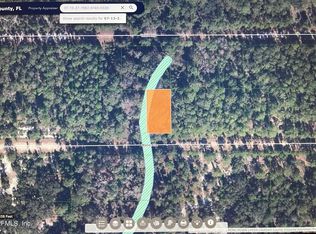 118 Marie Ave, Georgetown, FL 32139