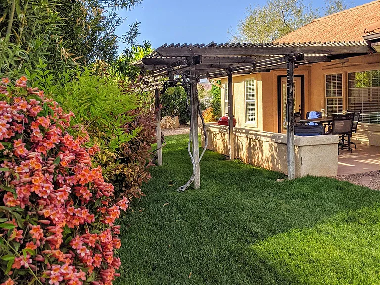 Private back yard patio