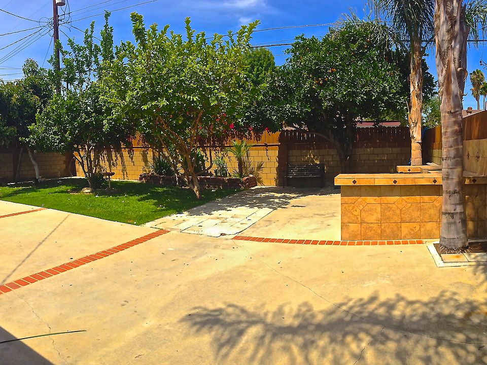 back yard, fruit trees