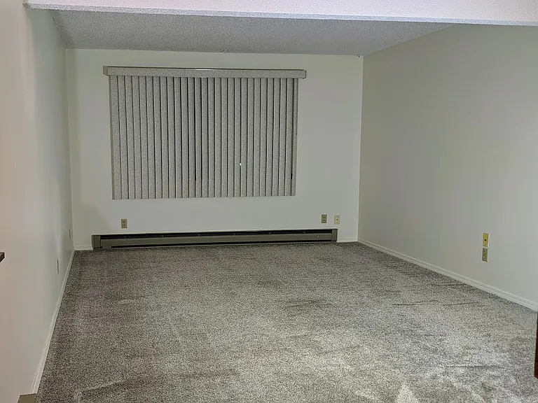 2229 Hawthorne St #D — Photo 6