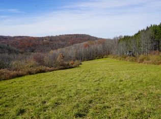 1171 Durkin Hill Rd LOT WP002, Woodhull, NY 14898