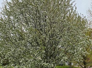 415 S 7th St, Luck, WI 54853