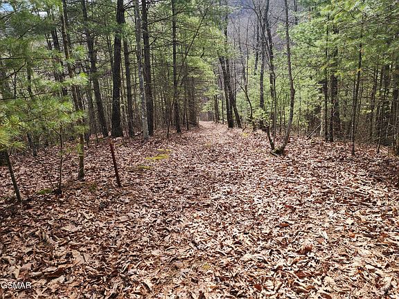 3rd image of 0 Dockery Branch Rd