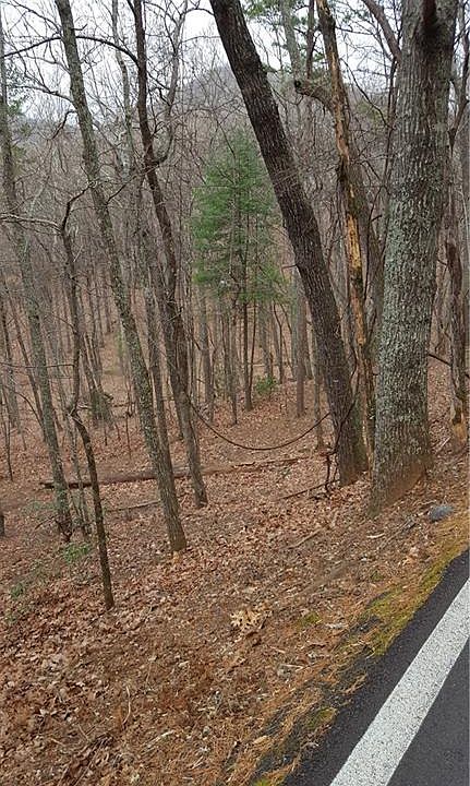 2nd image of 327 Grouse Gap Dr