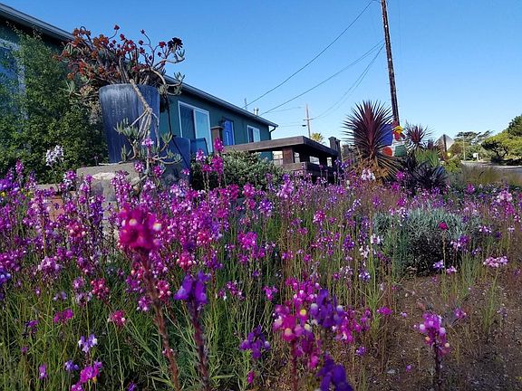 Spring time flowers.