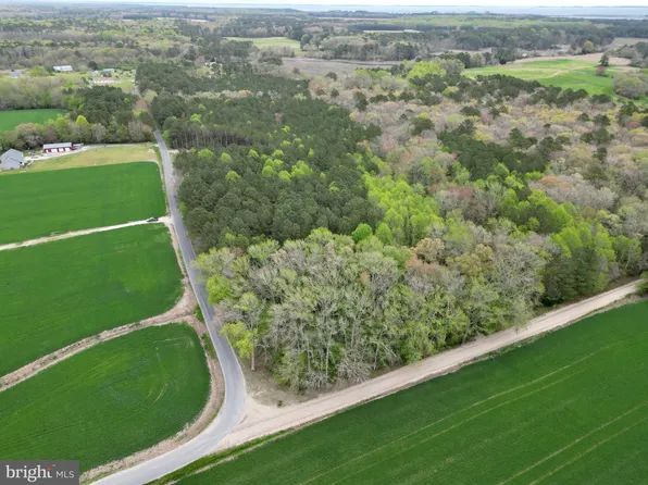 0 Truitts Landing Rd, Snow Hill, MD 21863