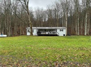 8833 Brown Rd, Arkport, NY 14807
