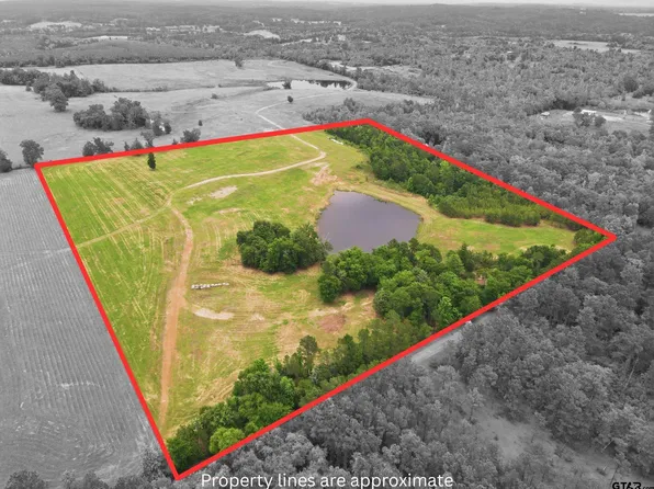 County Road 2993b, Hughes Springs, TX 75656