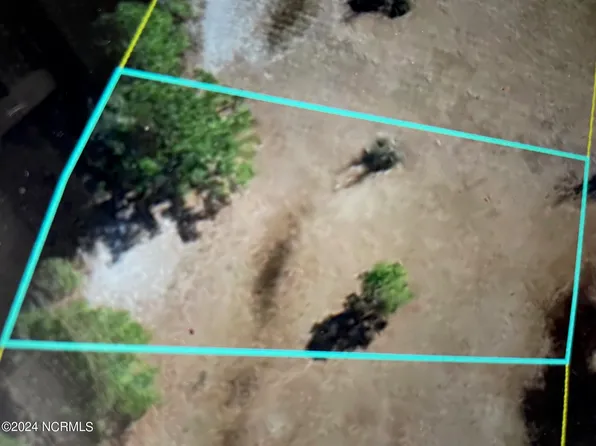 414 Bay Tree Drive, Harrells, NC 28444