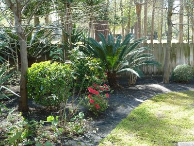 17303 Canyon Springs Dr, Houston, TX, 77090